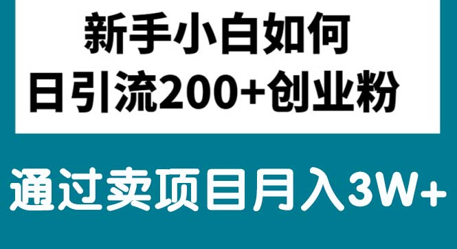 (6.2)新手小白日引流200+创业粉,通过卖项目月入3W+